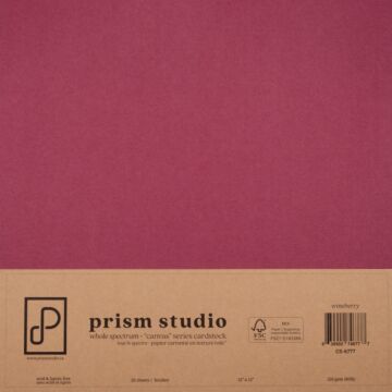 Pre-Order Prism Studio 12X12 Whole Spectrum "Canvas" Series Textured Cardstock, Wineberry (25 Sheets)
