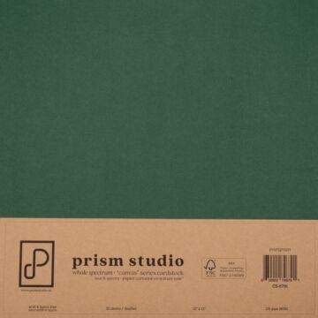 Pre-Order Prism Studio 12X12 Whole Spectrum "Canvas" Series Textured Cardstock, Evergreen (25 Sheets)