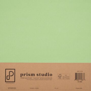 Pre-Order Prism Studio 12X12 Whole Spectrum "Canvas" Series Textured Cardstock, Aloe Vera (25 Sheets)