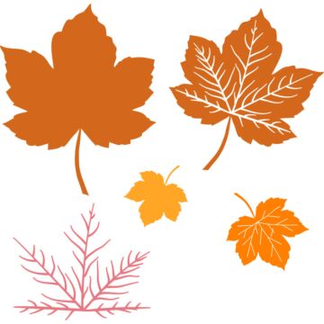 Pre-Order Prism Studio Die, Layering Maple Leaves