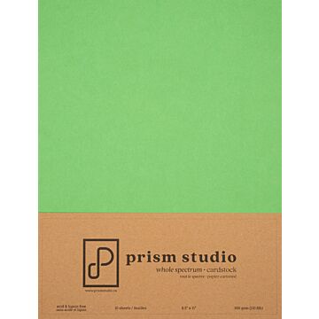 Pre-Order Prism Studio 8.5X11 Whole Spectrum Smooth Cardstock, 110lb - Opuntia (10 Sheets)