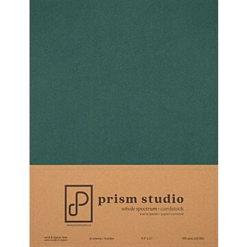 Pre-Order Prism Studio 8.5X11 Whole Spectrum Smooth Cardstock, 110lb - Ocotillo (10 Sheets)