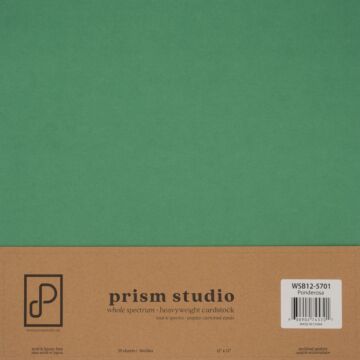 Pre-Order Prism Studio 12X12 Whole Spectrum Smooth Cardstock, 92lb - Ponderosa (25 Sheets)