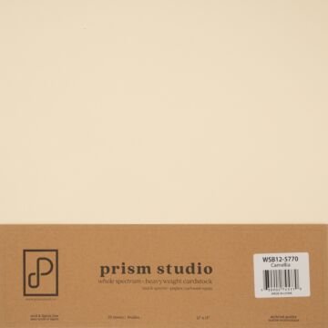 Prism Studio 12X12 Whole Spectrum Cardstock, Camellia (25 Sheets)