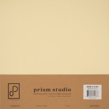 Prism Studio 12X12 Whole Spectrum Cardstock, Mojave Yucca (25 Sheets)