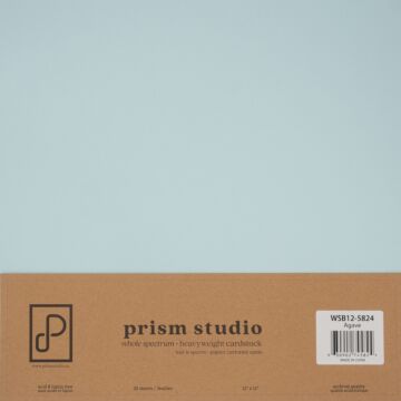 Pre-Order Prism Studio 12X12 Whole Spectrum Smooth Cardstock, 92lb - Agave (25 Sheets)