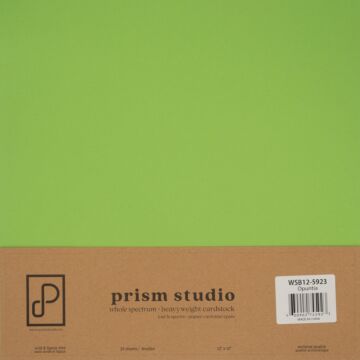 Pre-Order Prism Studio 12X12 Whole Spectrum Smooth Cardstock, 92lb - Opuntia (25 Sheets)