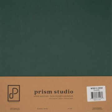 Prism Studio 12X12 Whole Spectrum Smooth Cardstock, 92lb - Ocotillo (25 Sheets)