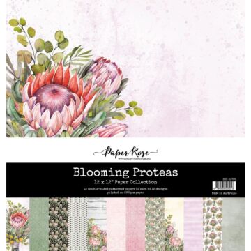Paper Rose 12X12 Paper Collection, Blooming Proteas