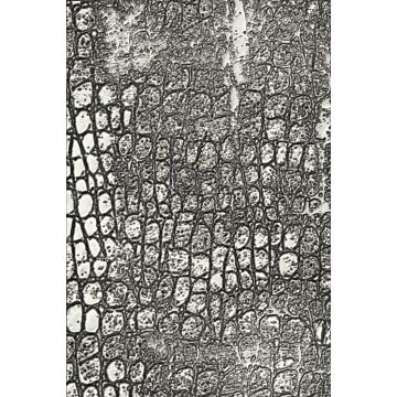 Sizzix 3D Texture Fades Embossing Folder, Reptile